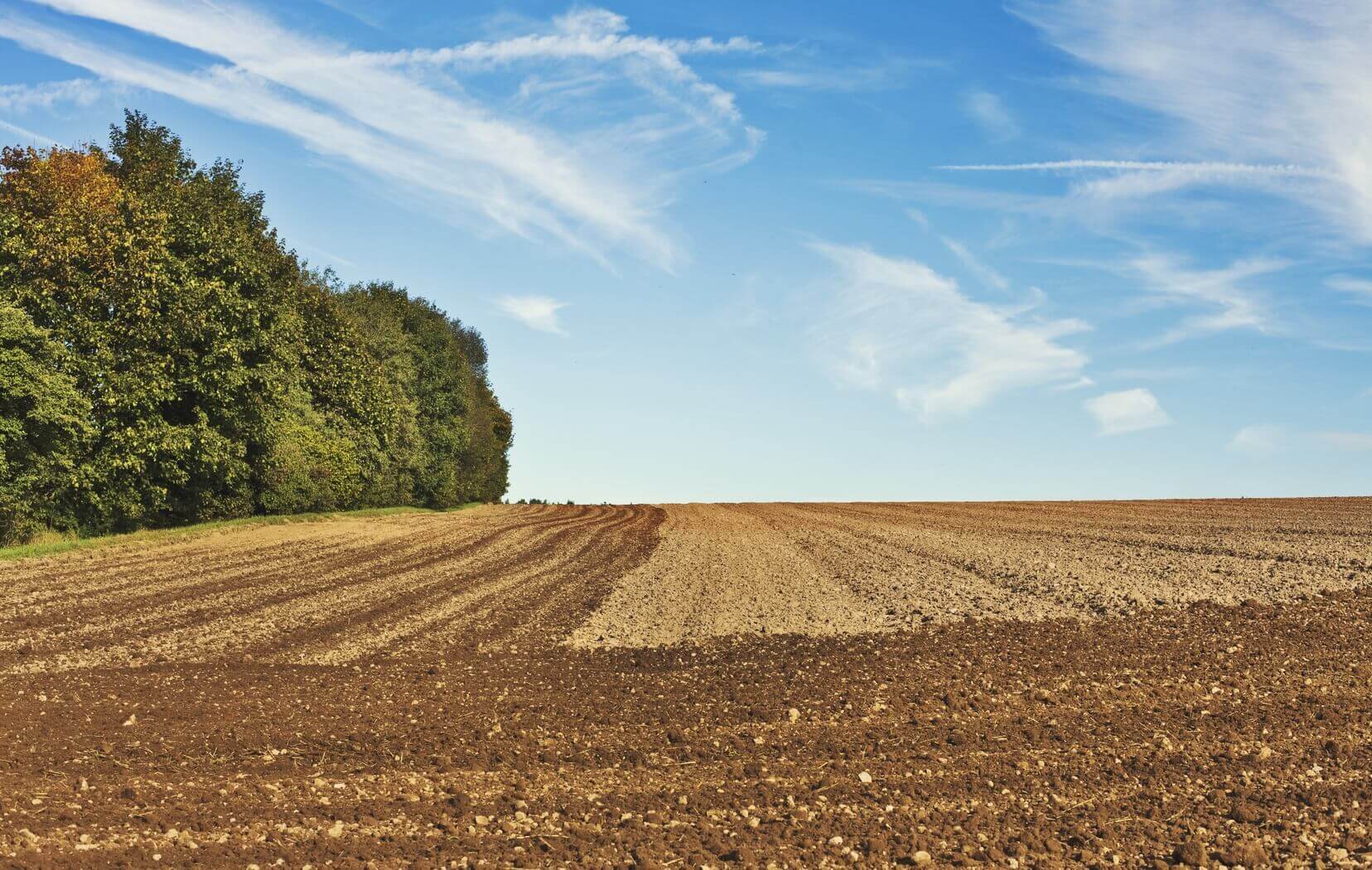 Área Rural